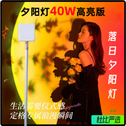 顽拍夕阳灯 40W 高亮落日灯