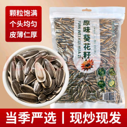 当季新货原味瓜子
