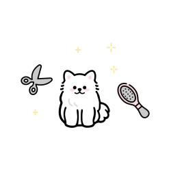 小型犬普通美容造型