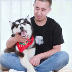 萌宠互动双人撸狗套餐不限时