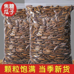焦糖味瓜子炒熟葵花子当季大粒焦糖味瓜子干果炒货