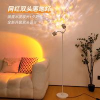 心款 双头动态水波纹夕阳创意简约直播店铺地台灯 落地式氛围灯