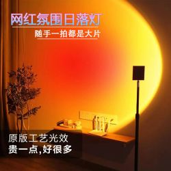 落日灯夕阳直播间背景客厅落地美容院大光圈卧室氛围感网红日落灯
