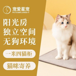 猫咪寄养｜一米四立柜｜24小时独享监控｜包月优惠