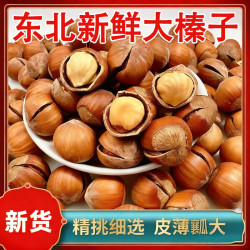 东北大榛子2025新货特产新鲜榛子坚果开仁口炒货