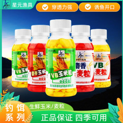 嫩玉米粒鱼饵钓鱼麝香VB玉米粒麦粒黑坑草鱼鲤鱼打窝饵料鱼食渔具
