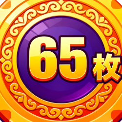 65枚游戏币