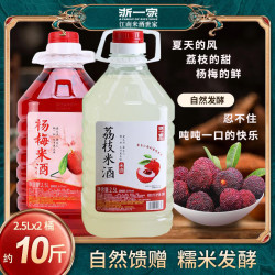 浙一家 荔枝杨梅组合 2.5L*2