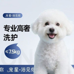 狗狗专业高奢洗护·≤7.5kg