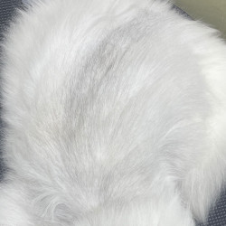 长毛猫洗护套餐