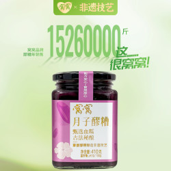窝窝 血糯米醪糟 410g 四川特产甜酒酿