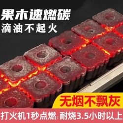 速燃果木炭烧烤碳无烟易燃滴油不起火木炭室内户外烧烤炭