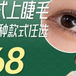 美睫12款睫毛任选+不限根数+卸睫