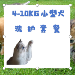 狗洗澡｜4-10KG｜小型犬洗护套餐