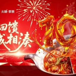 湊湊火锅·茶憩 3人火锅欢聚套餐-大华北