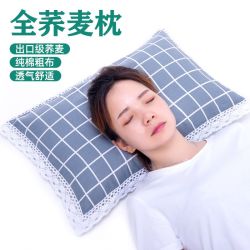 蚕茜 荞麦壳枕头 成人学生宿舍儿童枕 午睡家用