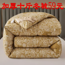 速热加厚驼毛被子冬被保暖单双人驼绒被芯春秋被学生宿舍棉被褥子