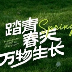 50元代金券|限1张
