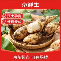 京鲜生 山东马踏湖白玉水果莲藕 中段带泥净重3斤