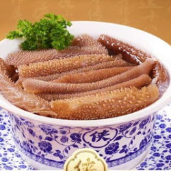 100元代金券|限1张