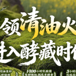 520川味/成都火锅四人餐（17道菜含锅底）