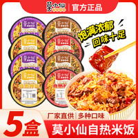 莫小仙 自热米饭 干拌饭香辣牛肉+台式卤肉饭 5盒