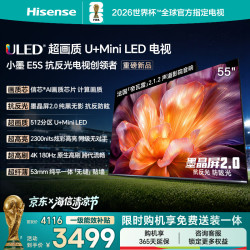 海信 小墨系列 55E5S 液晶电视 55英寸