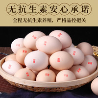 饮食乐 富硒鲜鸡蛋 4斤40枚装