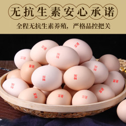 饮食乐 富硒鲜鸡蛋 4斤40枚装