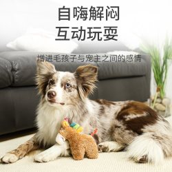 GiGwi 呆萌小马狗狗玩具