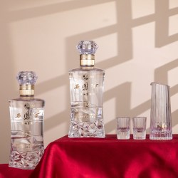 西凤酒 海窖龄 52%vol 凤香型白酒 500ml*2瓶礼盒装