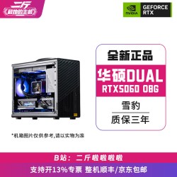 华硕 二斤/手提小机箱/华硕DUAL-RTX5060-O8G 雪豹/电脑主机/台式/组装