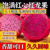 蒲恋 广西红心火龙果 净重4.5-5斤装