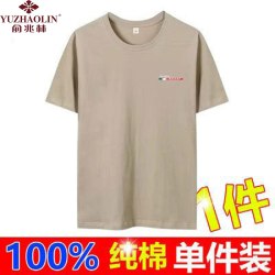 俞兆林 纯棉男士短袖t恤夏季新款圆领宽松ins半袖男装上