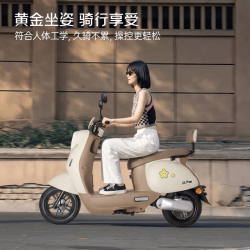 绿源 MODA05 60V22Ah铅酸电池 电动摩托车