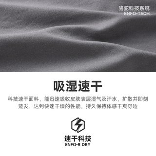 骆驼 速干透气 男士运动长裤