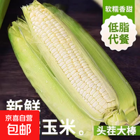 京东 新鲜白糯玉米山东头茬现摘水果玉米生鲜买菜蔬菜早餐快递包邮 新鲜玉米5斤 净重
