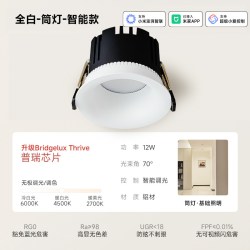 Yeelight L3 智能筒灯 12W 白色