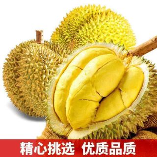 顺丰泰国进口金枕榴莲新鲜一整个带壳鲜果巴掌果