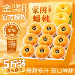 蒙阴蜜桃 山东蒙阴黄金蟠桃新鲜毛桃非油桃应当季水果 5斤S