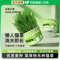 88VIP：朵莱艾蒙 猫草盆栽种子无土水培化毛草猫天然小麦盆栽育苗盆栽幼猫零食用品