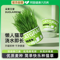 朵莱艾蒙 猫草盆栽种子无土水培化毛草猫天然小麦盆栽育苗盆栽幼猫零食用品