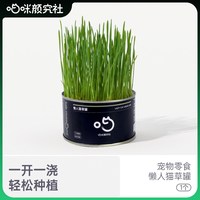 移动端：喵咪颜究社 猫草盆栽小麦水培懒人猫草罐头毛球片化毛零食猫咪用品