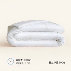 银桑 INESANCE100支全棉A类蚕丝被双宫茧桑蚕长丝春秋四季子母被芯