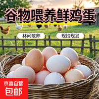 京东 新鲜鸡蛋40g鲜鸡蛋鲜鸡蛋生鲜溏心蛋水煮蛋早餐超市 10枚