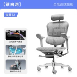 Ergonor 金豪E 人体工学电脑椅