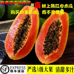 金叹 树上熟 红心木瓜  散装 1g