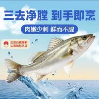 湄公大厨 三去开背 清蒸白蕉海鲈鱼 450g-550g/条 3条装