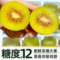 88VIP:尙楚坊 红心猕猴桃
