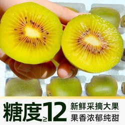 尙楚坊 红心猕猴桃